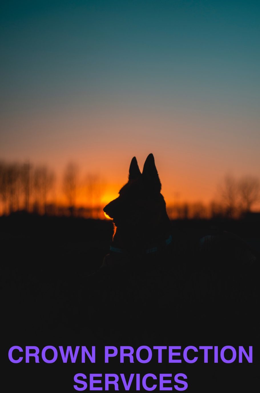 CROWN PROTECTION SERVICES